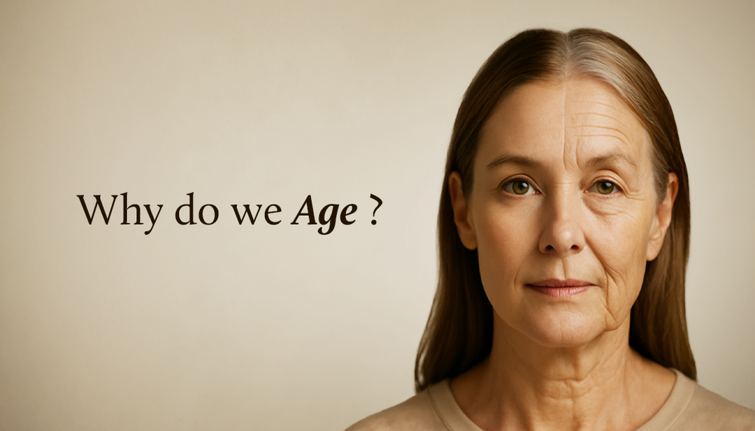 Why do we age?