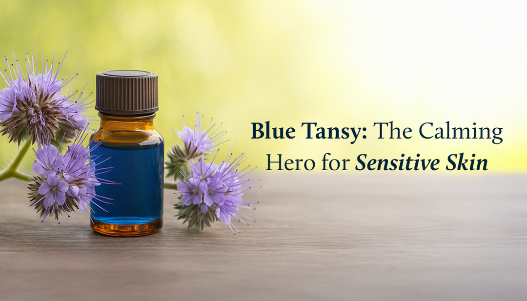 Blue Tansy for skin