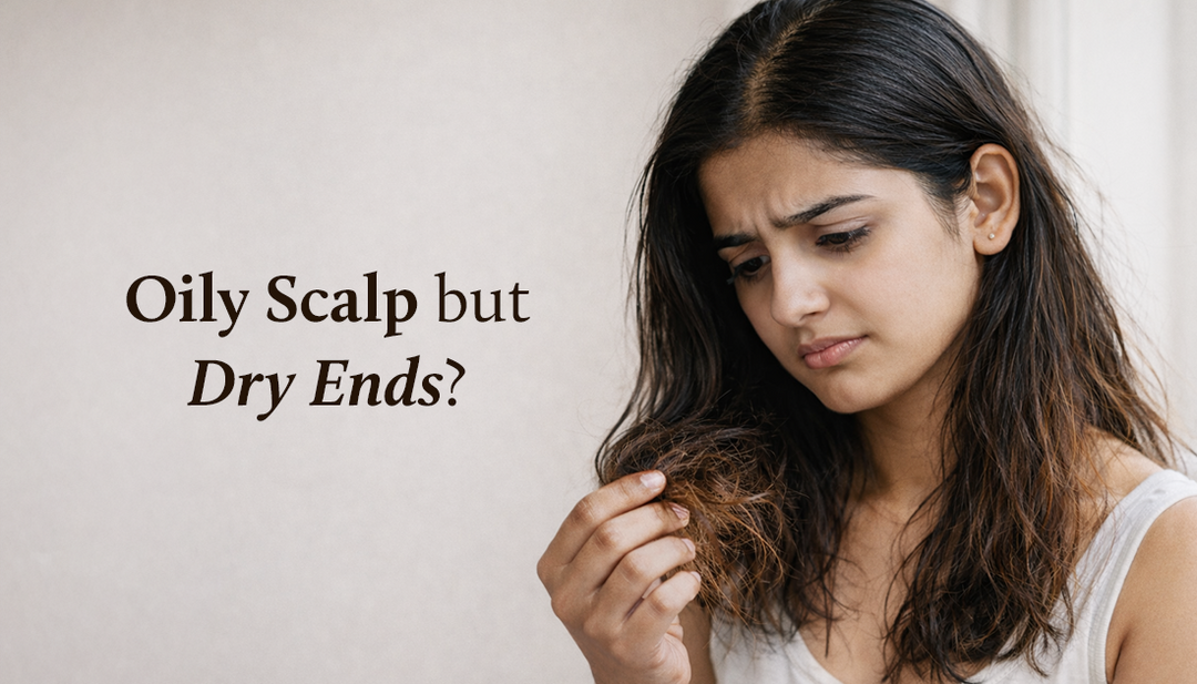 Oily Scalp but Dry Ends
