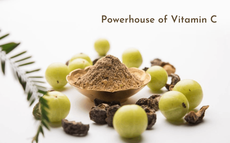 Amla powder with amla around are on table 