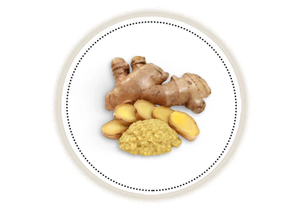 Ginger root and ground ginger on a white background