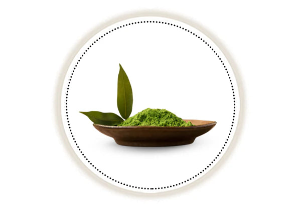 Bowl of green henna with leaves on a white background