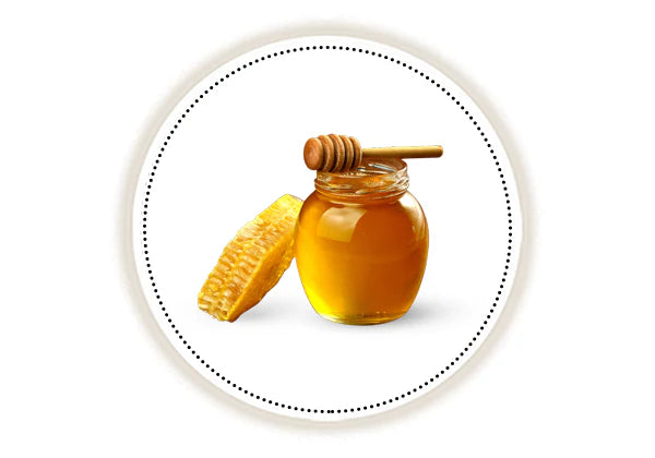 Jar of honey with a honeycomb on a white background