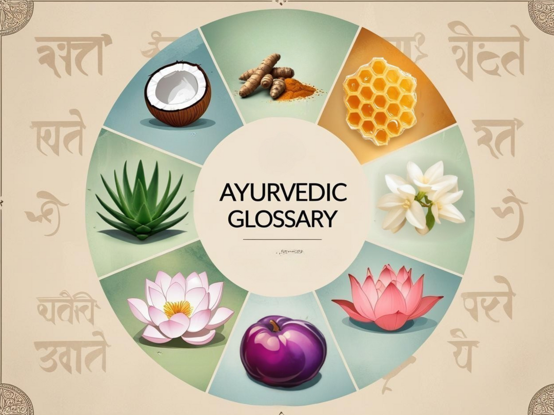 Ayurvedic glossary with natural elements on a decorative background