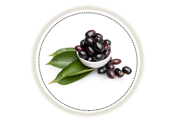 Jamun or indian blackberry fruits on white background 