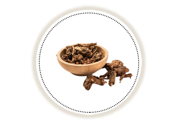Wooden bowl with lodhra root on a white background