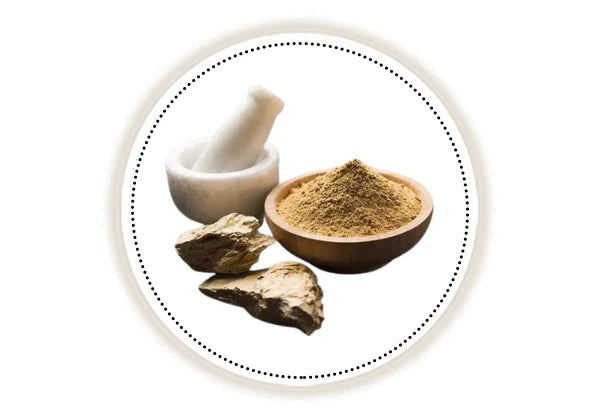 Mortar and pestle with a bowl of fuller's earth powder on a white background
