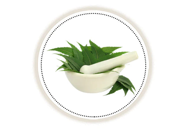 Mortar and pestle with neem leaves on a white background