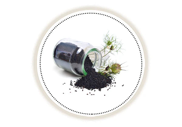 Nigella seeds on white background 