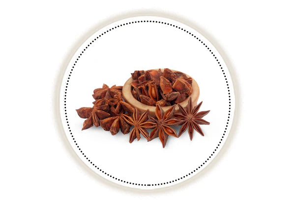 Star anise on a white background