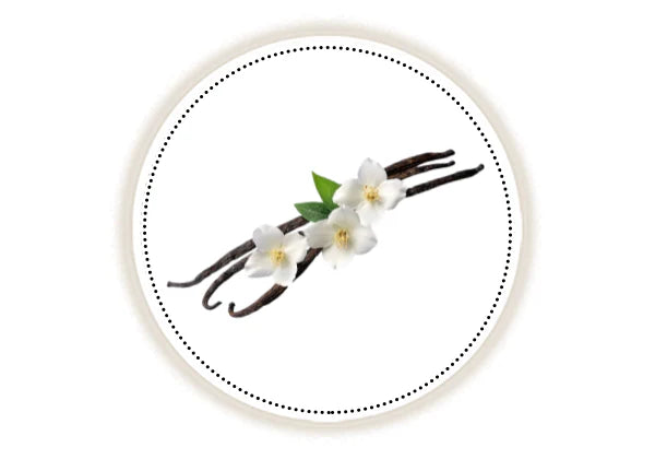 Vanilla beans with flowers on a white background