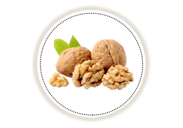 Walnuts on a white background
