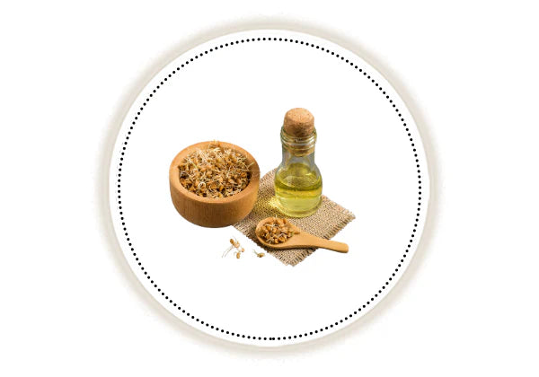 Wheat Germ seeds and oil on a white background
