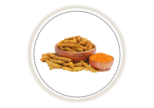 Turmeric roots and powder in wooden bowls on a white background
